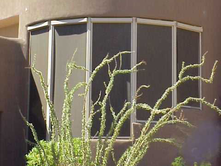 large plant stretched in front of 5 tall and narrow windows with shades pulled close